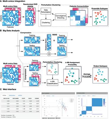 SMRT: Randomized Data Transformation for Cancer Subtyping and Big Data Analysis